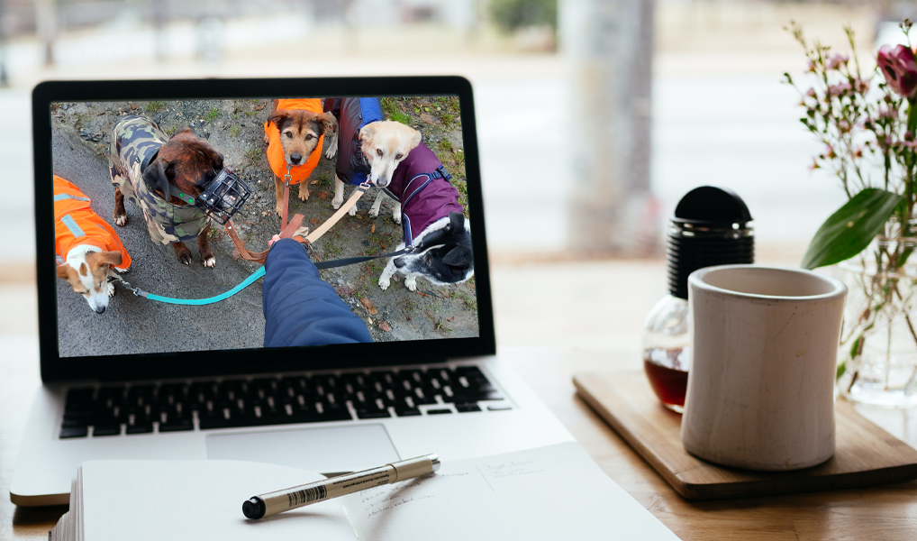 Dranbleiber Intensiv Programm