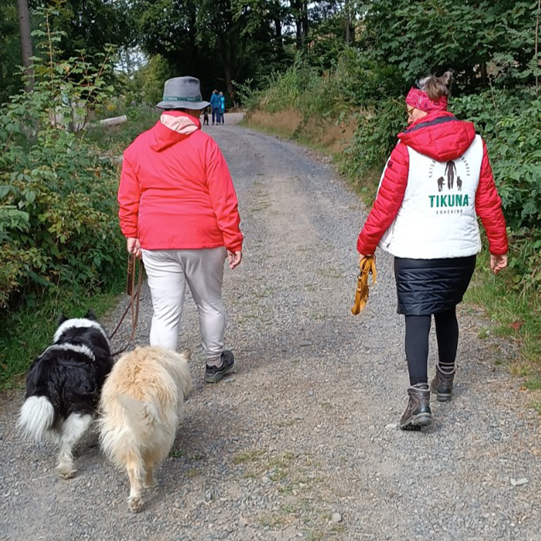 Tikuna Coaching mit Michaela