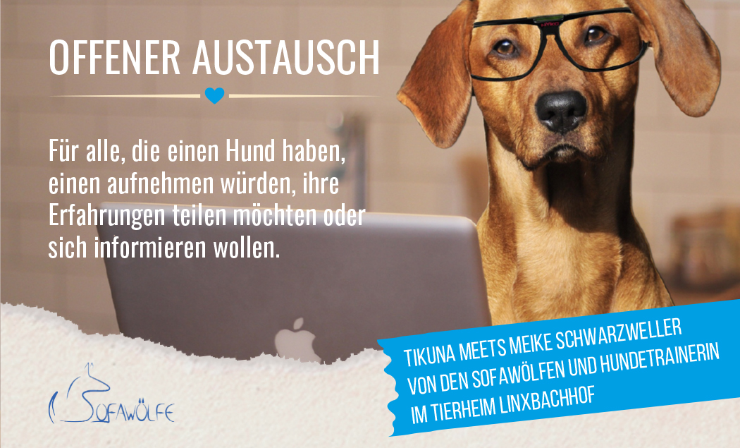 Offener Austausch